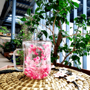 Double-Layered Glass Flower Mug Floral Whisper