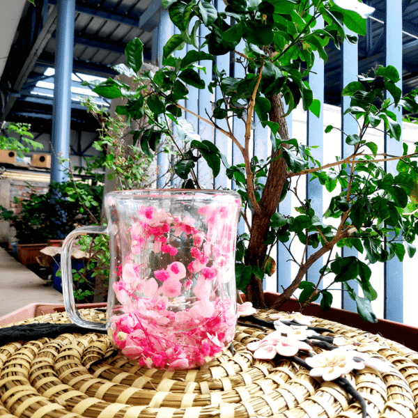 Double-Layered Glass Flower Mug Floral Whisper
