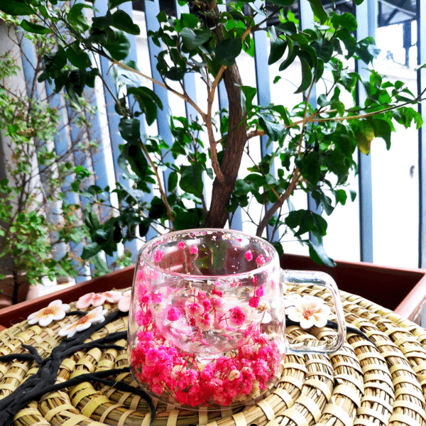 Double-Layered Glass Flower Mug Sunrise